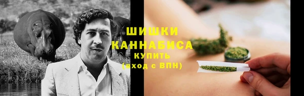mdma Белокуриха