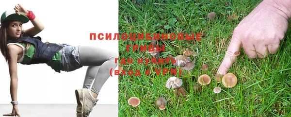 ПСИЛОЦИБИНОВЫЕ ГРИБЫ Белоозёрский