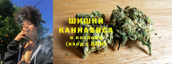 ПСИЛОЦИБИНОВЫЕ ГРИБЫ Белоозёрский