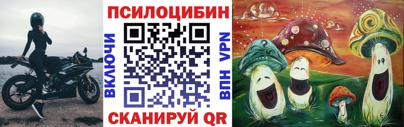 Галлюциногенные грибы MAGIC MUSHROOMS  Краснослободск 